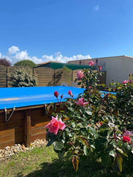 Jolie Petite Maison Renovee Piscine Saint-Palais-sur-Mer Extérieur photo